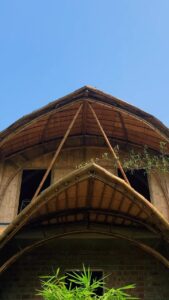 jans bamboo 6 Bamboo India