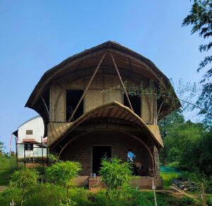 jans bamboo 7 Bamboo India