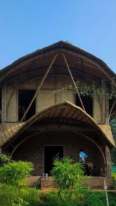 jans bamboo 9 Bamboo India