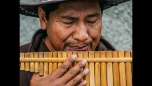 maxresdefault 1 Bamboo India