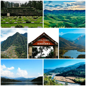 nagaland gk geography collage Bamboo India