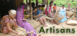 odisha bamboo 07 Bamboo India