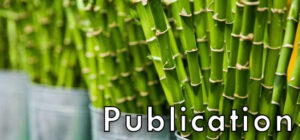 odisha bamboo 09 Bamboo India