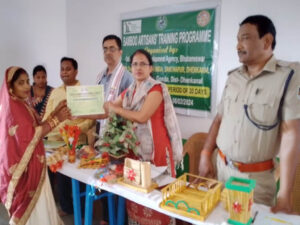 odisha bamboo 15 Bamboo India