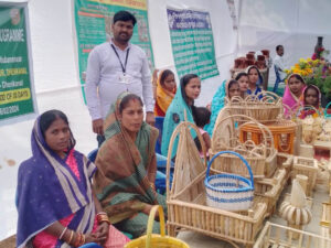 odisha bamboo 16 Bamboo India