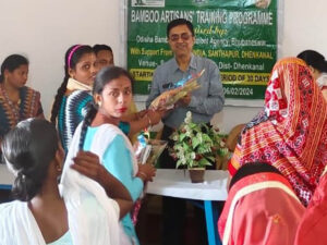 odisha bamboo 17 Bamboo India