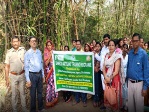 odisha bamboo 18 Bamboo India