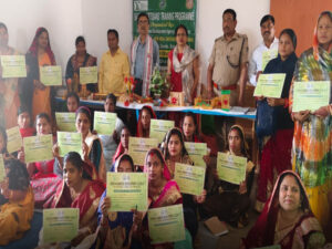 odisha bamboo 19 Bamboo India