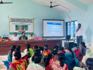 odisha bamboo 21 Bamboo India