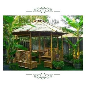 portfolio 1 Bamboo India