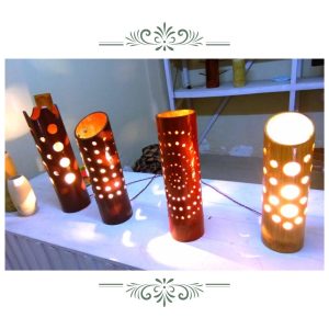 portfolio 10 Bamboo India