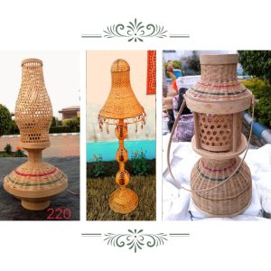 portfolio 13 Bamboo India