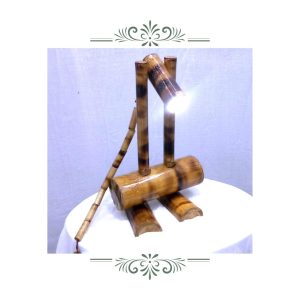 portfolio 19 Bamboo India