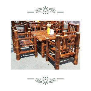 portfolio 46 Bamboo India