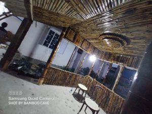 portfolio 53 Bamboo India