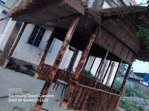 portfolio 54 Bamboo India