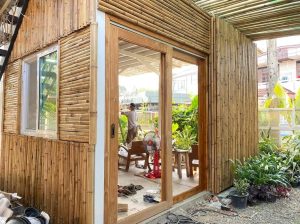 portfolio 58 Bamboo India