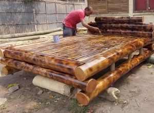 portfolio 62 Bamboo India