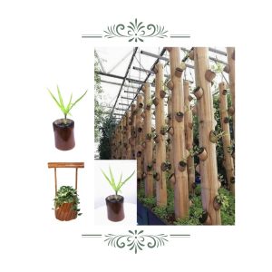 portfolio 7 Bamboo India