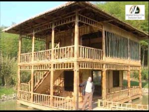 sddefault Bamboo India