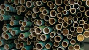 statistics Bamboo India