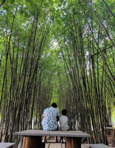 the other side 7 Bamboo India