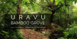uravu banner03 Bamboo India