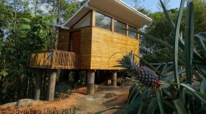 uravu bamboo styleinthewild cottage 01 Bamboo India