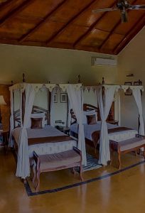 villas img2 Bamboo India