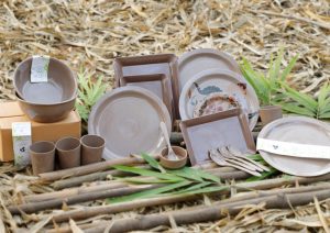 e5c65f 9dc16ab8341f45909bc859f390e9c5a8mv2 Bamboo India