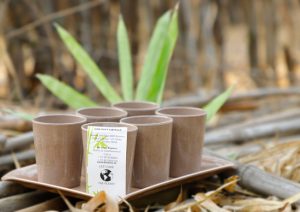 e5c65f f0596bebe96e452c821ca7d476f96a69mv2 Bamboo India