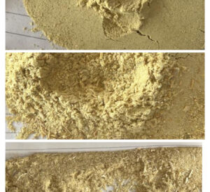 ibanss 102 Bamboo India