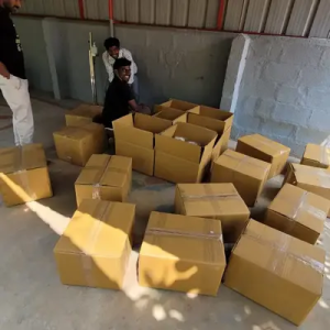 jIPH1Xs7 Bamboo India