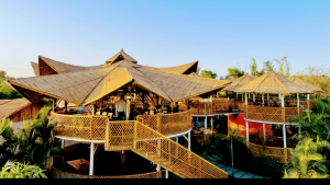 2022 06 26 5980FKO Bamboo India