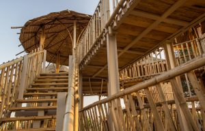 IMG 0635 Bamboo India