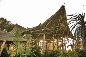 WhatsApp Image 2023 07 04 at 11.41.55 PM Bamboo India