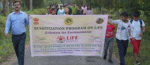 banner87 Bamboo India