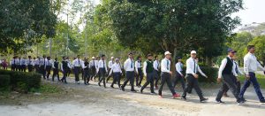 banner90 Bamboo India