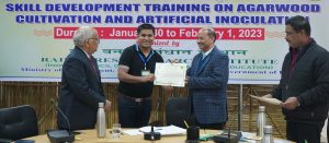 banner91 Bamboo India