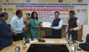 banner93 Bamboo India