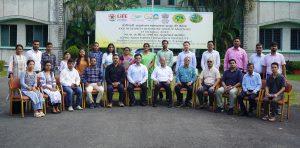 banner96 Bamboo India