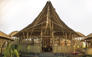 image 045 Bamboo India