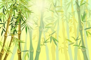 landscape bamboo stems leaves 105738 387 Bamboo India