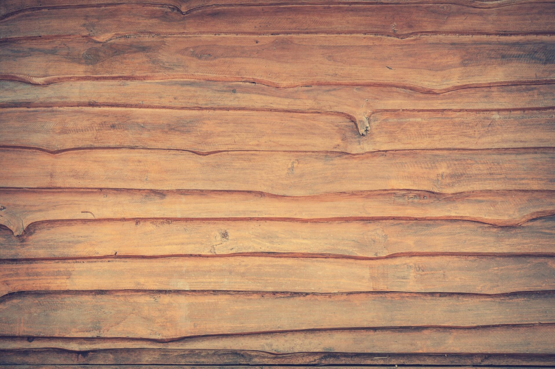 Bamboo vs. Traditional Wood: A Comparative Analysis blog 4 Bamboo India pexels fwstudio 139309 scaled Bamboo India