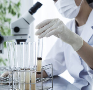 11062b beca6806b91540369d403efccf4ab3a0mv2 Bamboo India