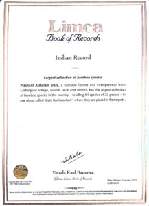 337000816 140925755576091 4335622269125626474 n Bamboo India