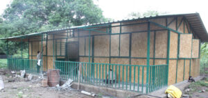 49c7dc 3412c353c45949ef82896c76e4b54d01mv2 Bamboo India