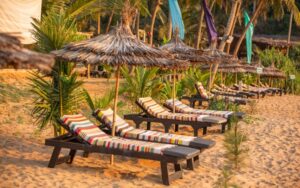 91A6115 scaled qq4nyjpn49gyuuj6mm1nyieahohx1t5um4pct2pnyg Bamboo India