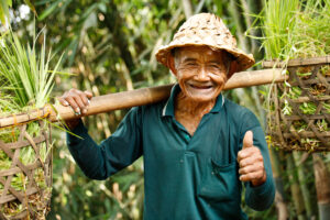 Amwoodo at a Glance 01 Bamboo India