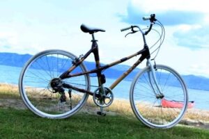 E29rQCoVcA81xFS Bamboo India